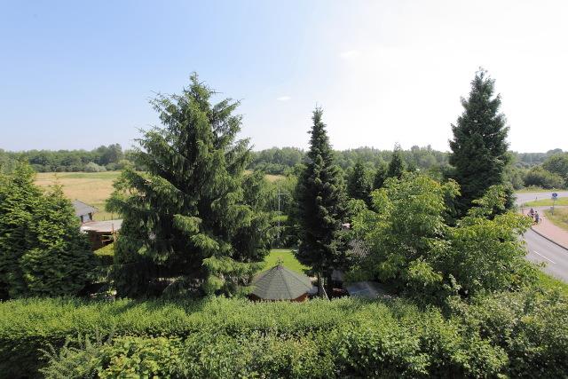 Rheinauen Landschaft