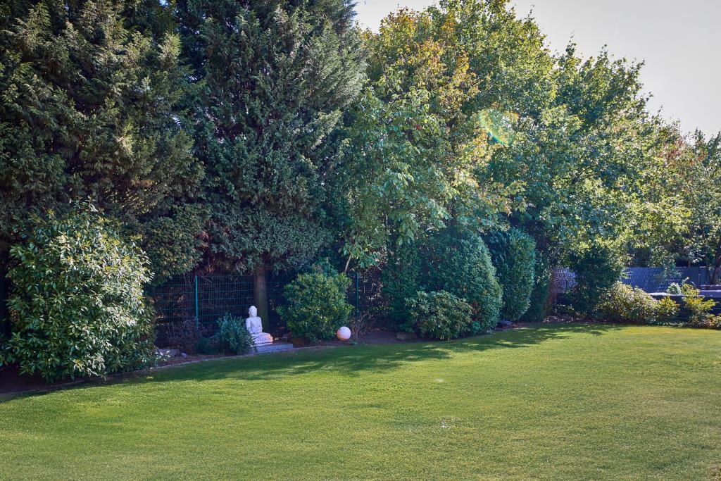 Blick in den Garten